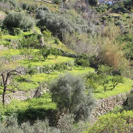 Olive Garden House Apartamento *