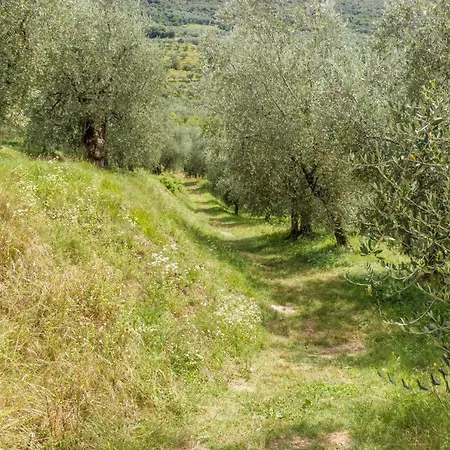 Olive Garden House Appartement