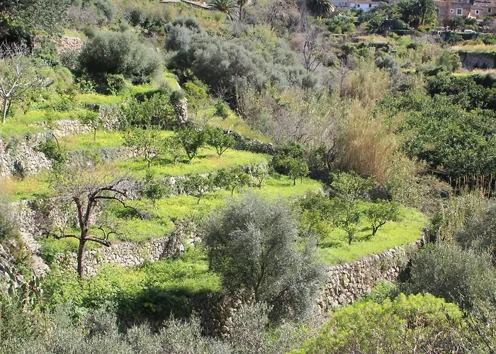 Olive Garden House 아파트 *