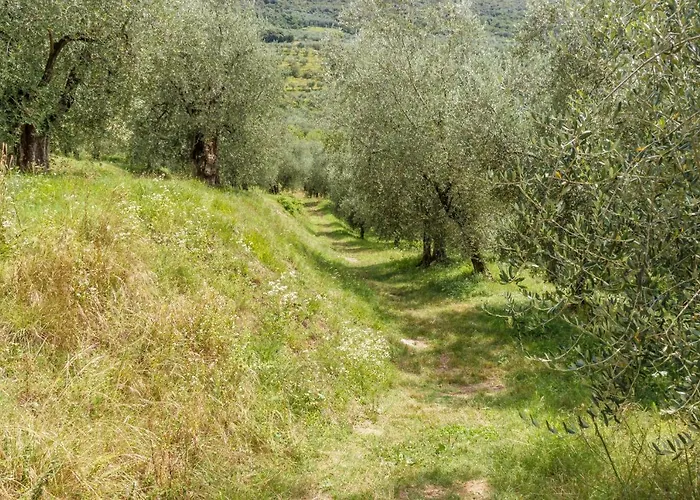 Olive Garden House 아파트